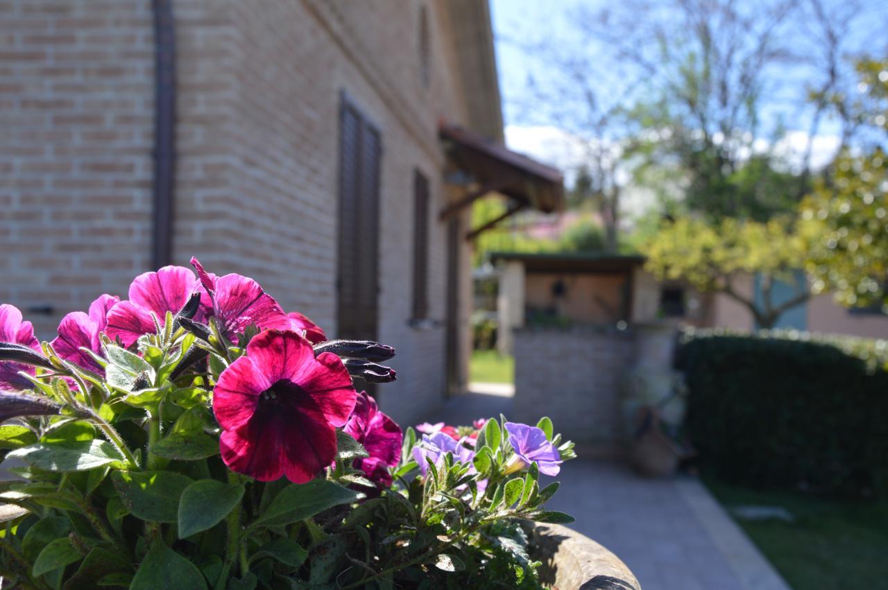 B&B Madonna Carradori Offagna Eksteriør bilde